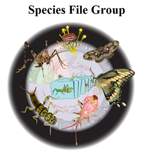 Species File Group